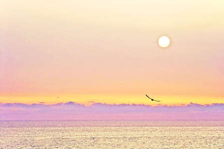 Delicate pink sunset in Tunisiaの写真素材