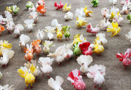 Colorful pigeonsの写真素材