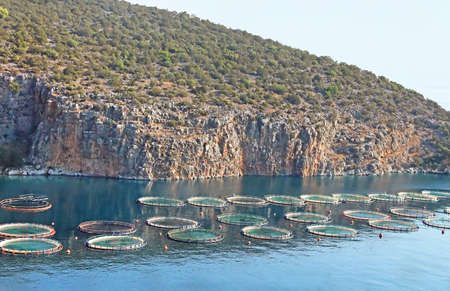 Aquaculture in Greeceの写真素材