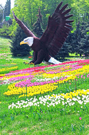 Statue of bald eagle and field of tulips in Kyiv, Ukraineの写真素材