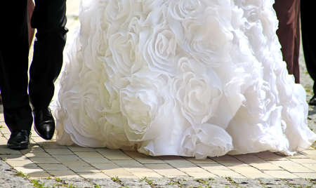 Bride and groom (bottom)の写真素材