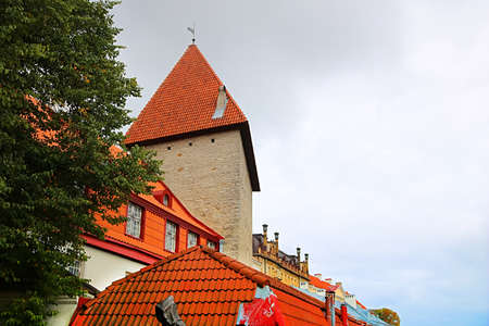 Tower of walls of Tallinn fortress.の写真素材
