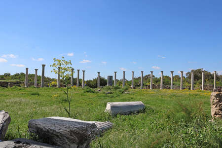 Romans ruins of the city of Salamis, near Famagusta, Northern Cyprus