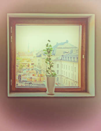 Vase and window. View through window on Railway station, Stockholm, Sweden. Trendy toning