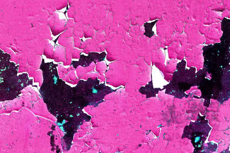 Magenta peeled surface. Copy space. Can be used as backgroundの写真素材