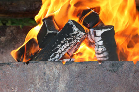 Firewood is burning in the brazier. Summer barbecue concept
