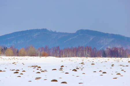 Mountains meadows in the Carpathian region, Ivano-Frankivsk region in winter, Ukraine