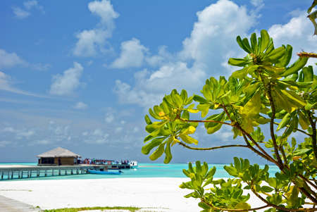 wonderful nature and luxury holidays in the Maldivesの写真素材