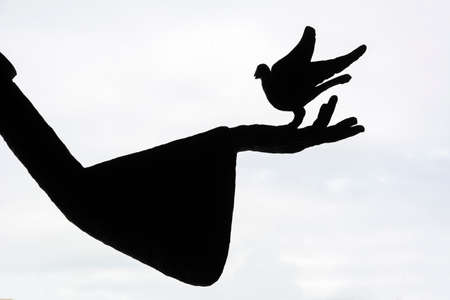 dove on hand in graphic formの写真素材