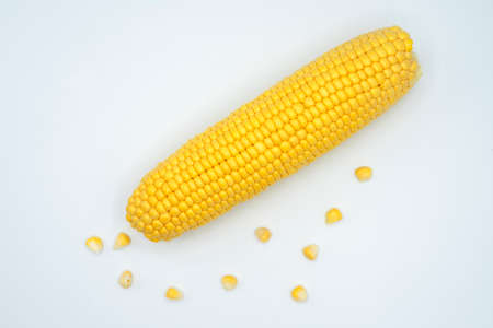 ripe bright raw corn on white background