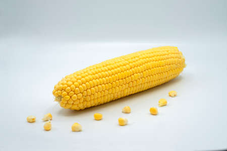 ripe bright raw corn on white backgroundの写真素材