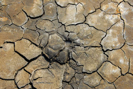 Abstract pattern and texture of dried soil