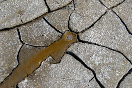 Abstract pattern and texture of dried soil