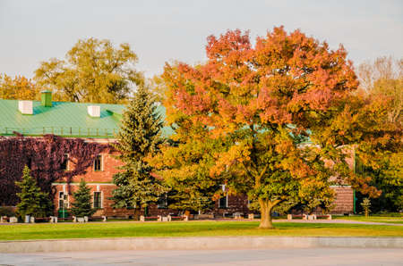 The Colors of Autumn leaves in the hills of Brest.の写真素材