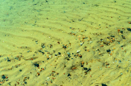 Golden water surface transparent and clear water background.の写真素材
