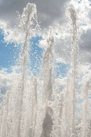 The jets of the fountain-like branches of the trees and break simultaneously.の写真素材