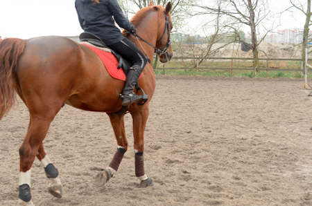 A rider on horseback overcomes obstacles.