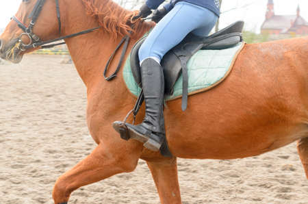 A rider on horseback overcomes obstacles.の写真素材