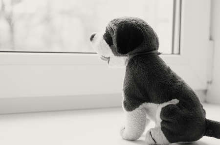 Missing child. Abandoned toy. Loneliness. Black and white image.の写真素材