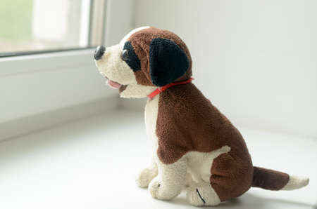 Missing child. Abandoned toy. Loneliness.の写真素材