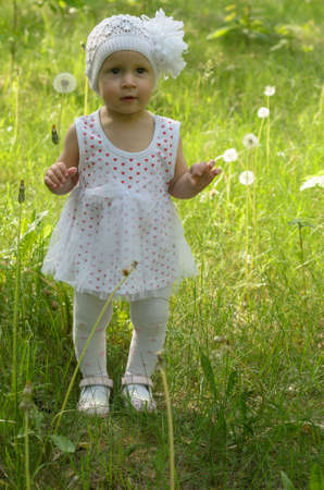 A little girl is walking happily among the dandelions.の写真素材