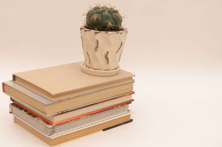 School supplies on a background of a school board with an inscription and on a light backgroundの写真素材