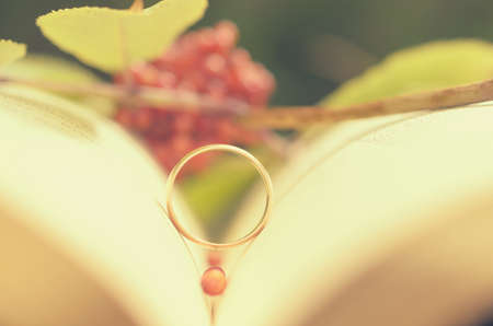 An open book with an engagement ring as a symbol of loveの写真素材