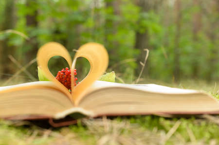 The pages of the opened book are stacked in the form of a heartの写真素材