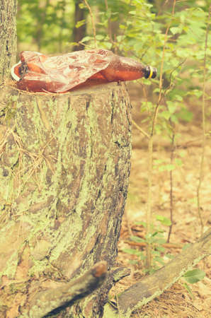 Plastic bottles spoil and pollute the ecological state of natureの写真素材