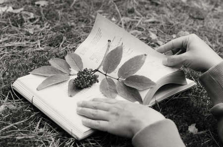 An open book on the grass decorated with a branch with berriesの写真素材