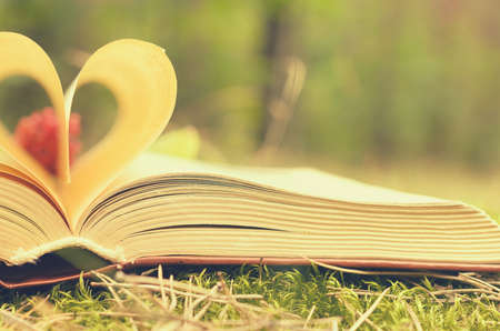 The pages of the opened book are stacked in the form of a heart