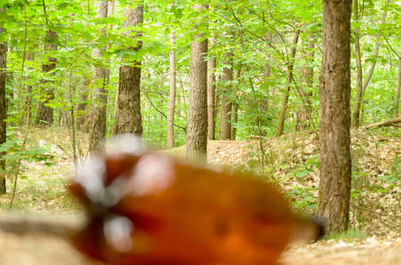 Plastic bottles spoil and pollute the ecological state of nature
