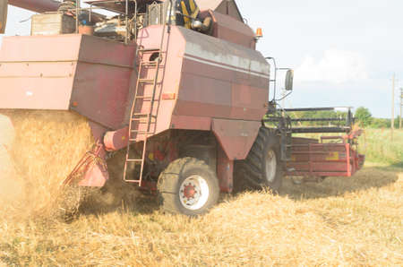 Harvesting of bread by harvesters - harvesting at the end of summer.