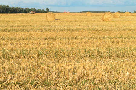 Special machines for harvesting form round bales of hay