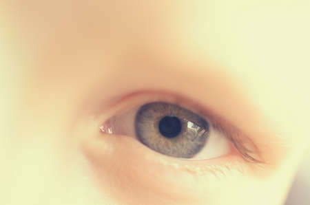 Blue eyes of a close-up boy look straight and in the sideの写真素材