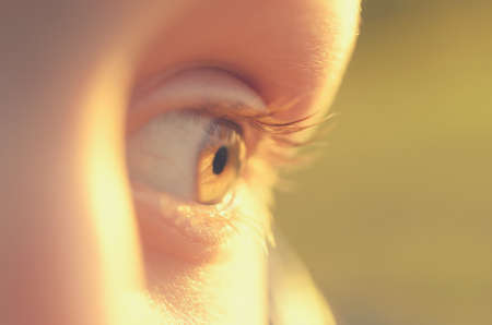 Blue eyes of a close-up boy look straight and in the sideの写真素材