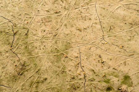 Texture on parched soil, cracks and blotchesの写真素材