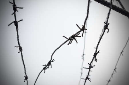 Barbed wire is a symbol of unfreedom, deprivation and concentration camps