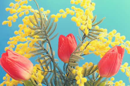 Brightly red tulips in a bouquet on a blue backgroundの写真素材