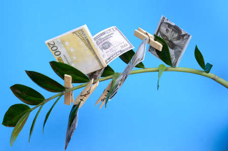 Money bills on clothespins on a branch of a money tree on a blue background