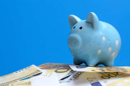 Blue piggy bank on a lot of money billsの写真素材