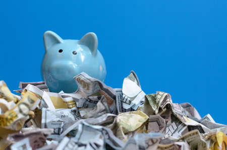 Blue piggy bank on a lot of money bills.の写真素材