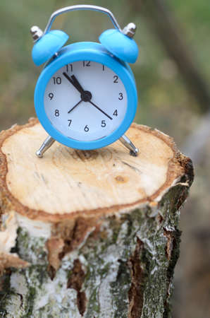 A blue alarm clock stands on the surface of a felled tree stump . The concept of timeの写真素材