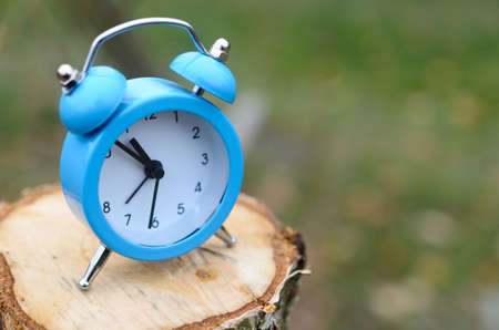 A blue alarm clock stands on the surface of a felled tree stump . The concept of time