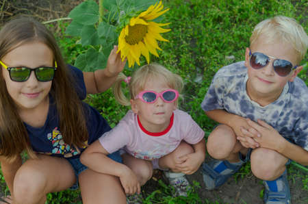 Children under eight years old all together wearing glasses against a background of green grass and yellow sunflower.の写真素材