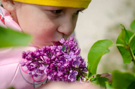 A minor child sniffs a bouquet of lilacs.の写真素材
