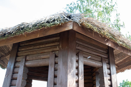 A gazebo with a withered thatched roof against a bright sky.の写真素材