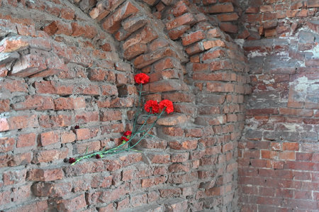 Memorial flowers on the ruins of World War II.の写真素材