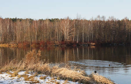 River bank in winter.Travel and tourism.の写真素材