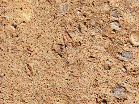 Texture for design with copy space. cement wall background.の写真素材
